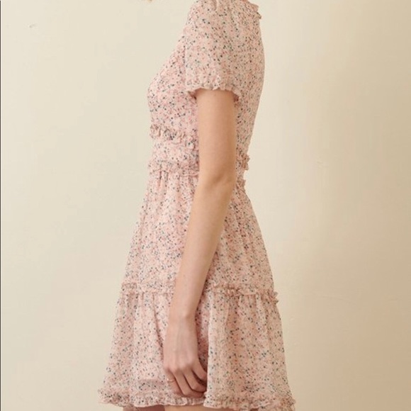 🌸Cottagecore Spring Garden Ruffle Dress In Rose🌸 - Picture 3 of 6